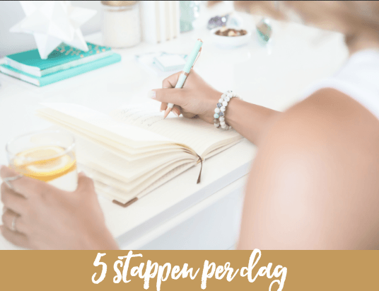 Bundel 5 stappen per dag