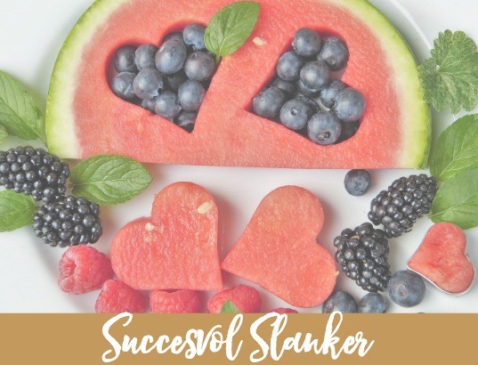 Succesvol-Slanker-Template