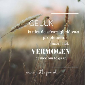 Geluk is niet de afwezigheid van problemen