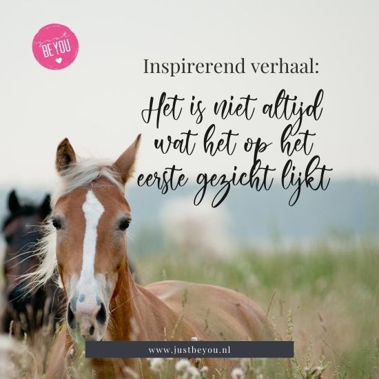 Inspirerend verhaal; Het is niet altijd wat het op het eerste gezicht lijkt