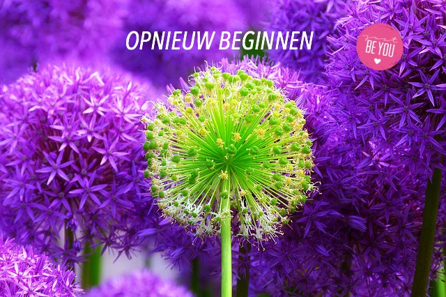 Hoe je met ‘opnieuw beginnen’ afscheid kunt nemen van oude