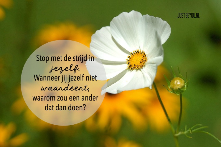 stop met de strijd in jezelf