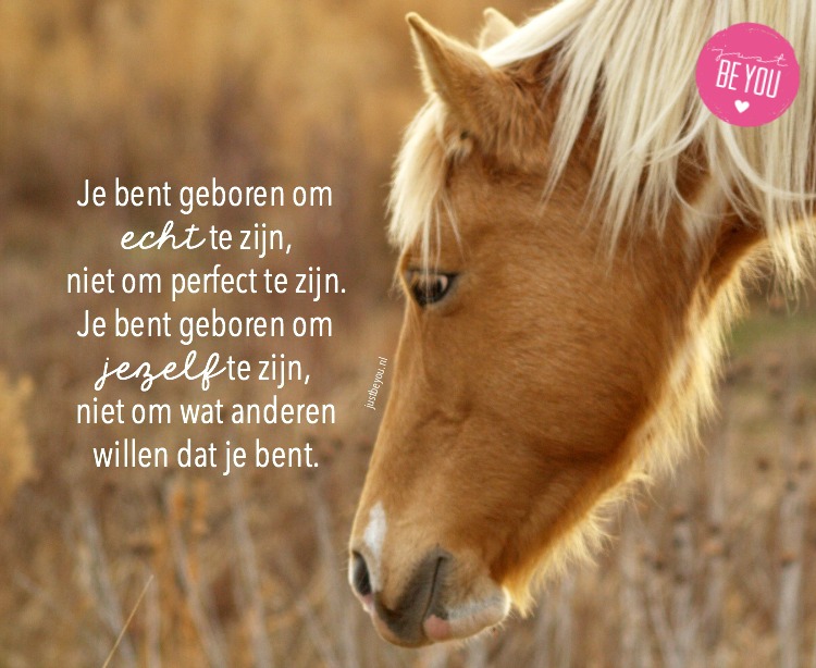 Je bent geboren om echt te zijn, niet om perfect te zijn. Je bent geboren om jezelf te zijn, niet om wat anderen willen dat je bent.