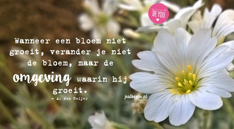 Wanneer een bloem niet groeit, verander je niet de bloem maar de omgeving waarin hij groeit
