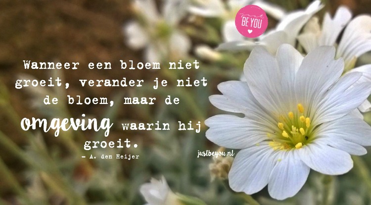 Wanneer een bloem niet groeit, verander je niet de bloem maar de omgeving waarin hij groeit