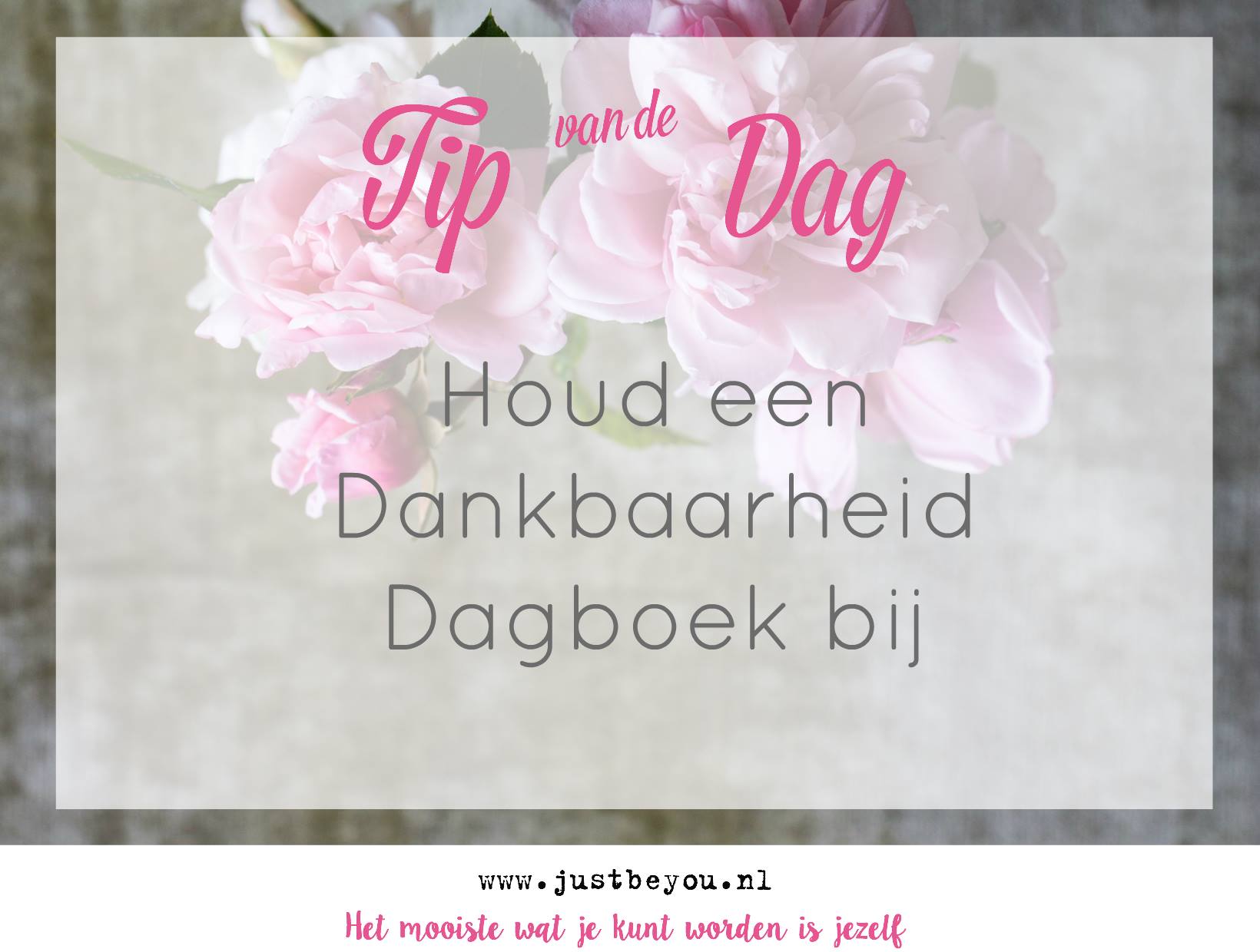 Tip van de dag. Houd een dankbaarheid Dagboek bij