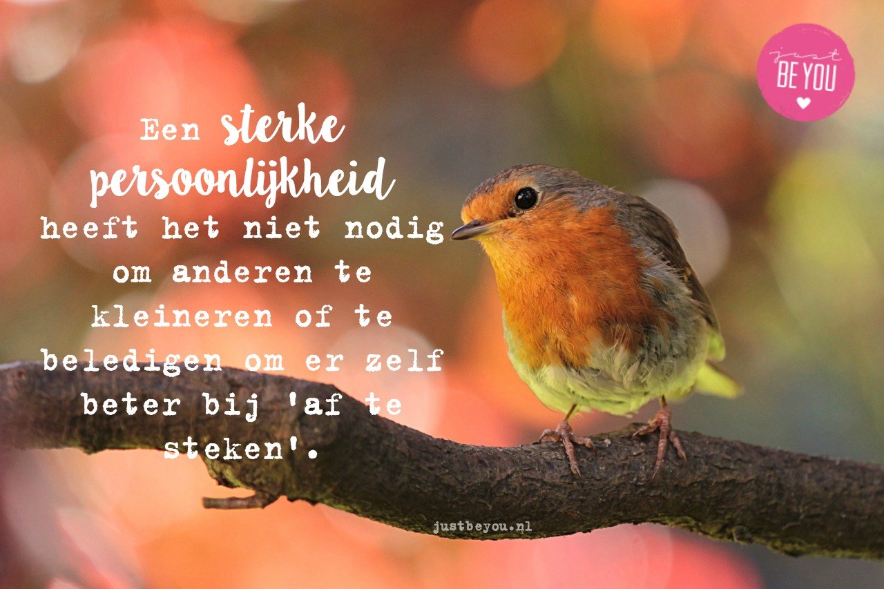 Een werkelijk sterke persoonlijkheid heeft het niet nodig om anderen te kleineren of te beledigen om er zelf beter bij 'af te steken'.