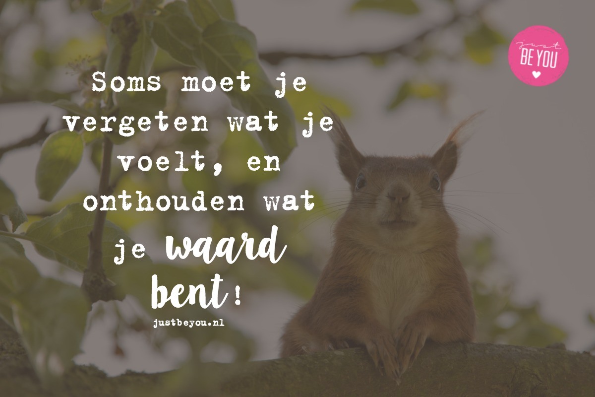 Soms moet je vergeten wat je voelt, en onthouden wat je waard bent!