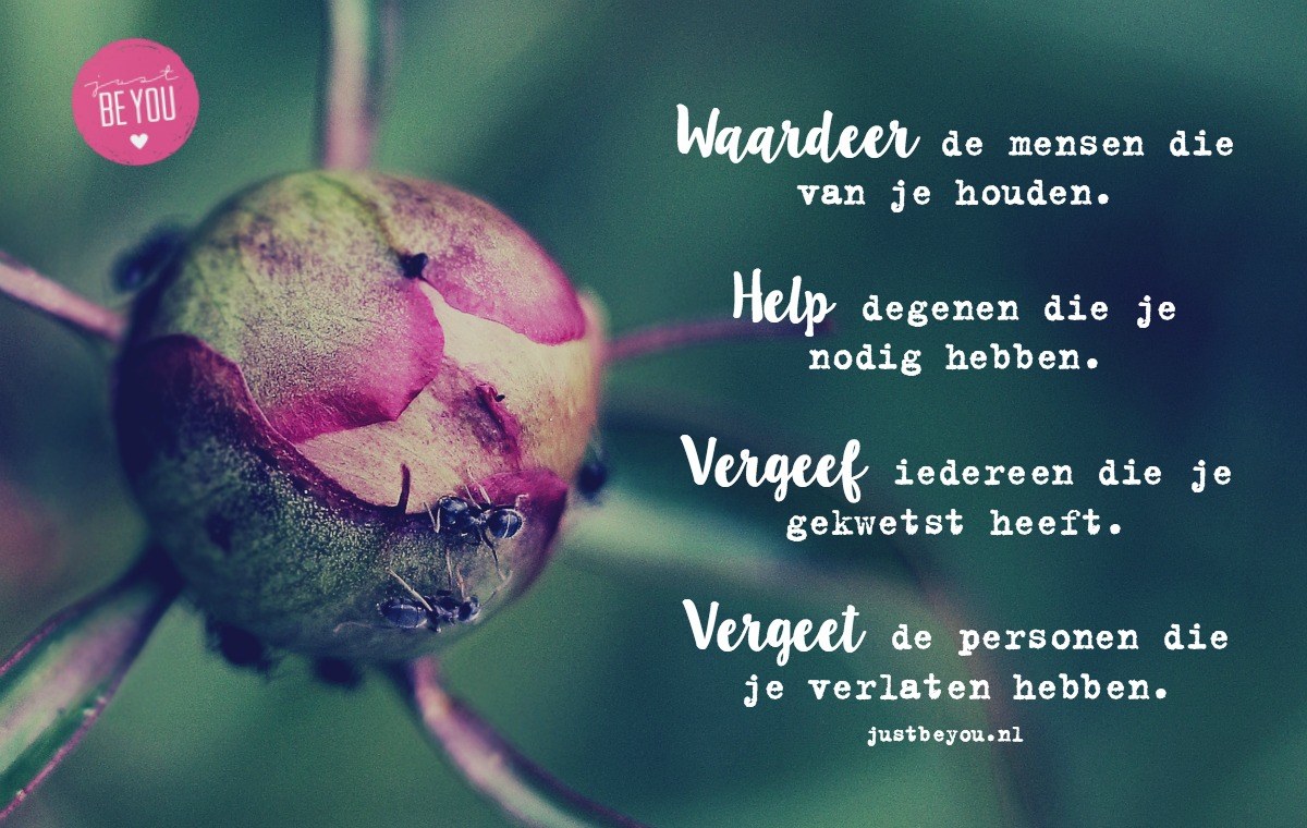 Waardeer de mensen