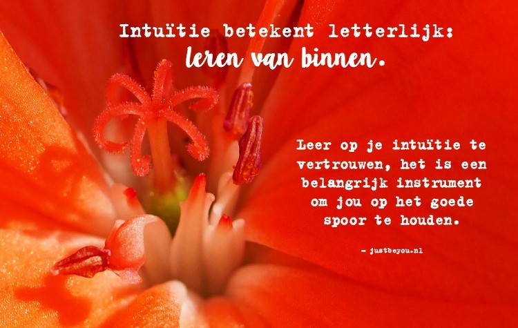 Leer op je intuïtie te vertrouwen