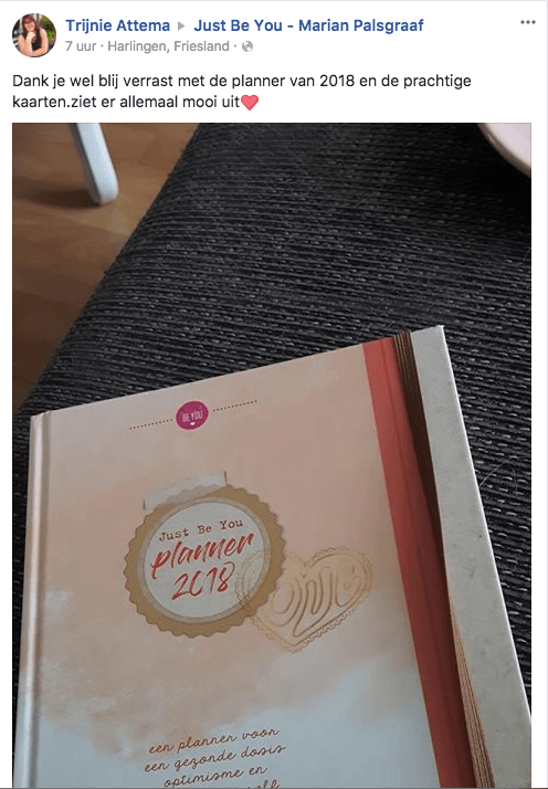 Review Just Be You Planner 2018