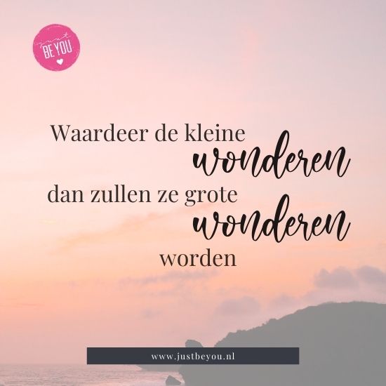 Waardeer de kleine wonderen dan zullen ze grote wonderen worden