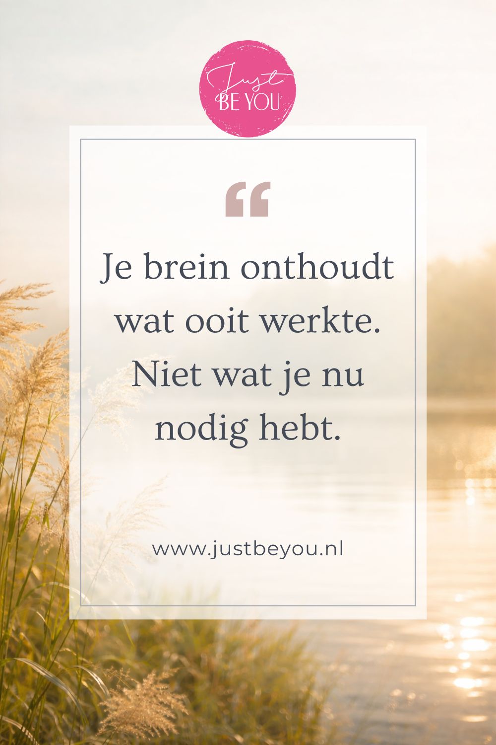 Je brein onthoudt wat ooit werkte.
Niet wat je nu nodig hebt.