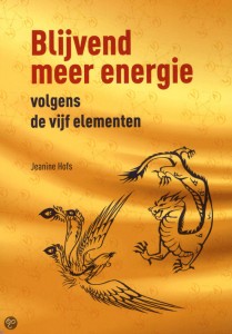 blijvend meer energie