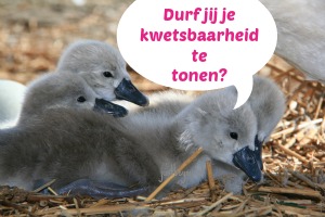 kwetsbaarheid