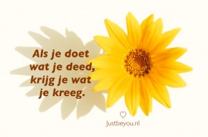 als je doet wat je deed, krijg je wat je kreeg