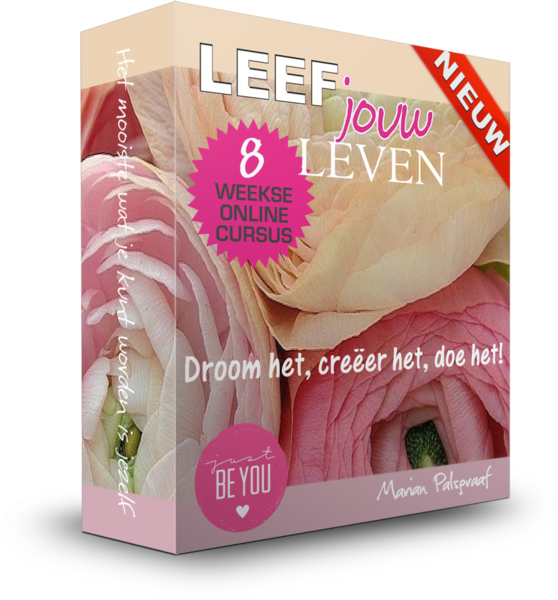 Leef jouw Leven Cover box